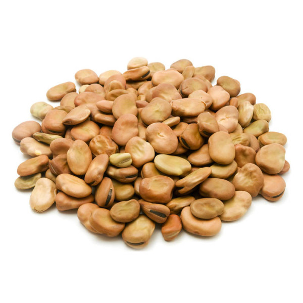 Broad bean large